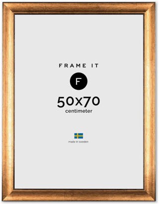 Ram Rome Guld 50x70