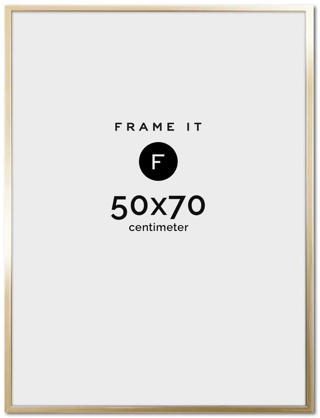 Ram Nielsen Accent Guld 50x70